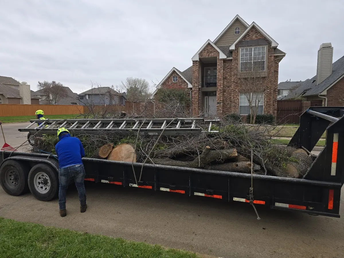 Expert Lot Clearing with proper safety equipment in Topsfield